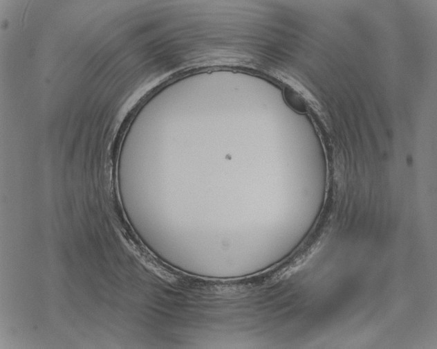 X0000076390933200610271549