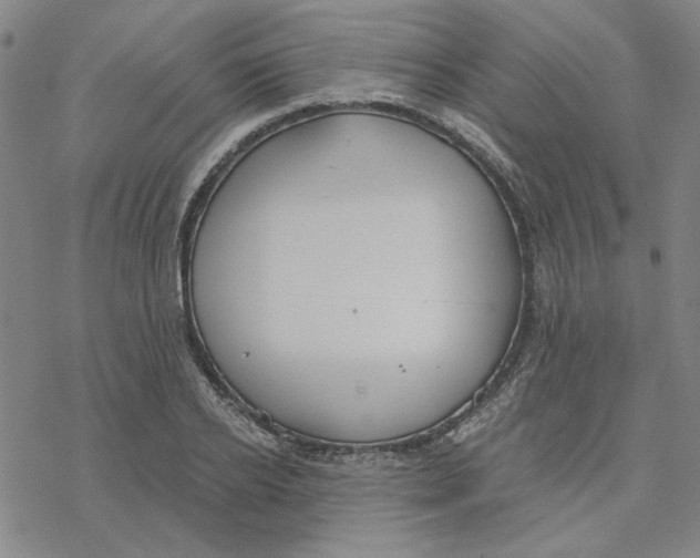 X0000076390934200610271549