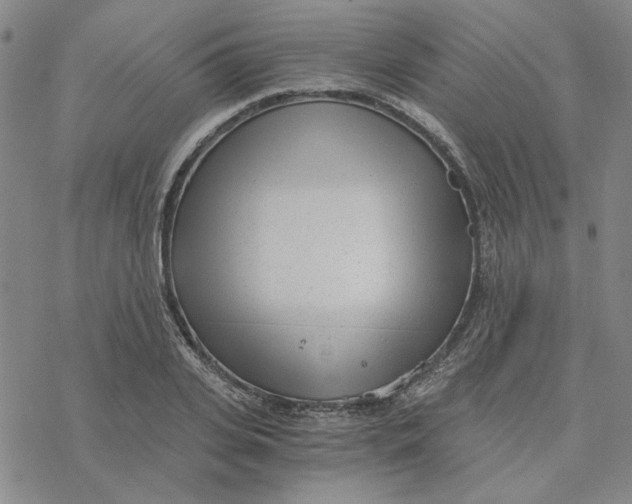 X0000076390935200610271549