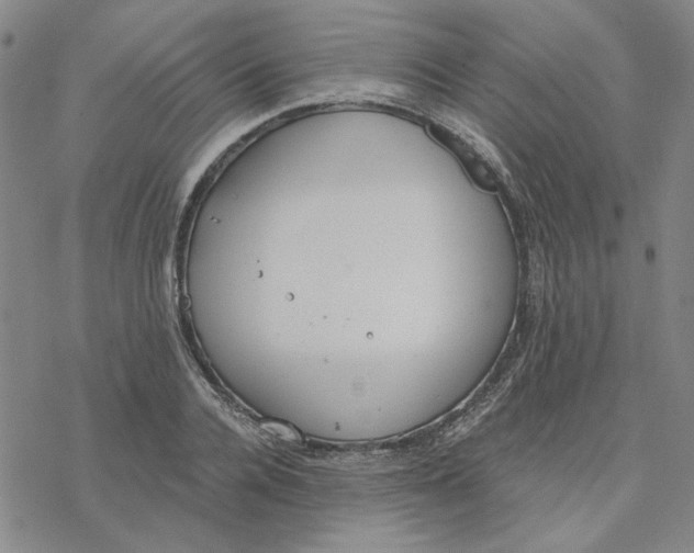 X0000076390936200610271549