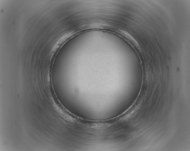 X0000076390938200610271549