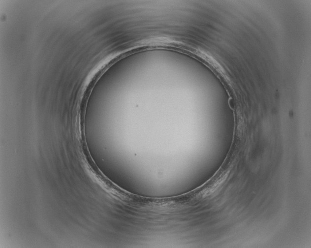 X0000076390939200610271549