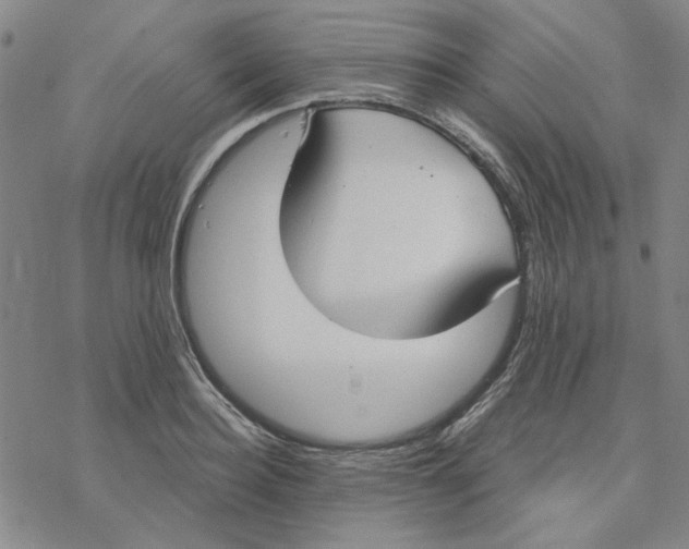 X0000076390940200610271549