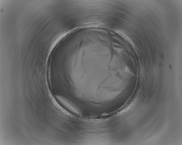 X0000076390941200610271549