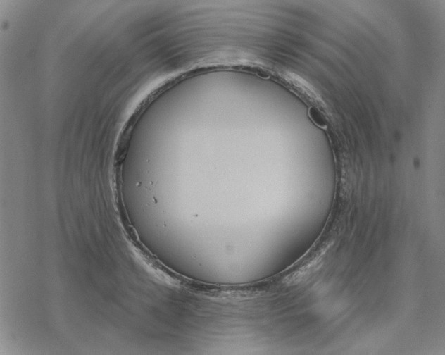 X0000076390942200610271549