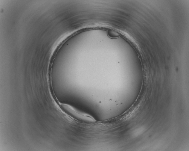 X0000076390943200610271549