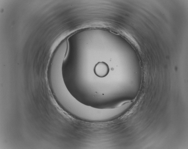 X0000076390944200610271549