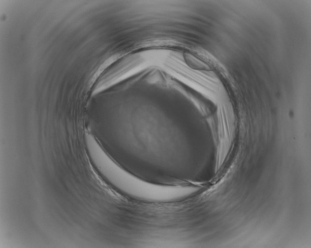 X0000076390945200610271549