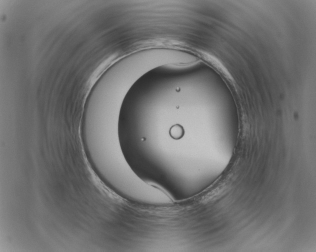 X0000076390946200610271549