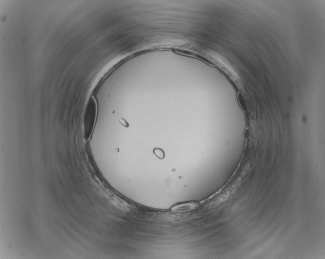 X0000076390948200610271549