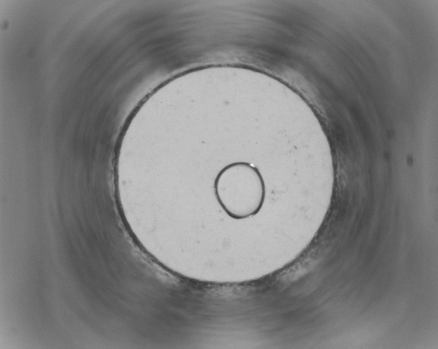 X0000076390950200610271549