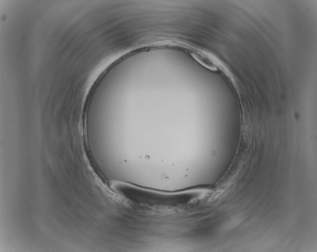 X0000076390951200610271549