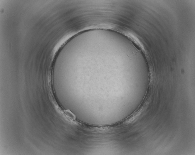 X0000076390952200610271549