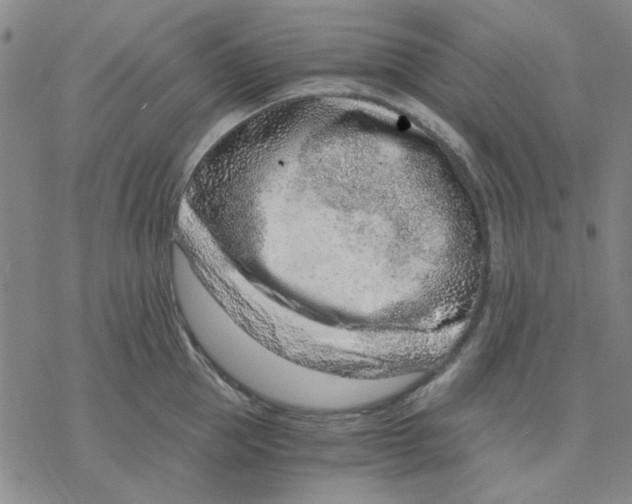 X0000076390953200610271549