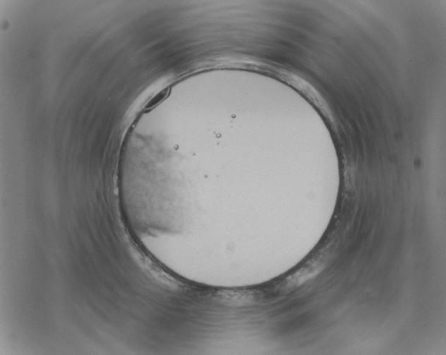 X0000076390954200610271549