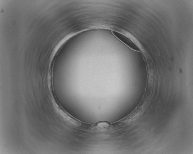 X0000076390955200610271550