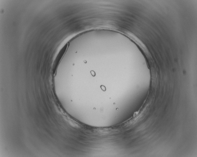 X0000076390956200610271550