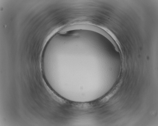 X0000076390957200610271550