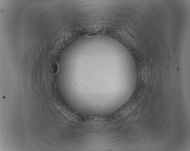 X0000076390961200610271549