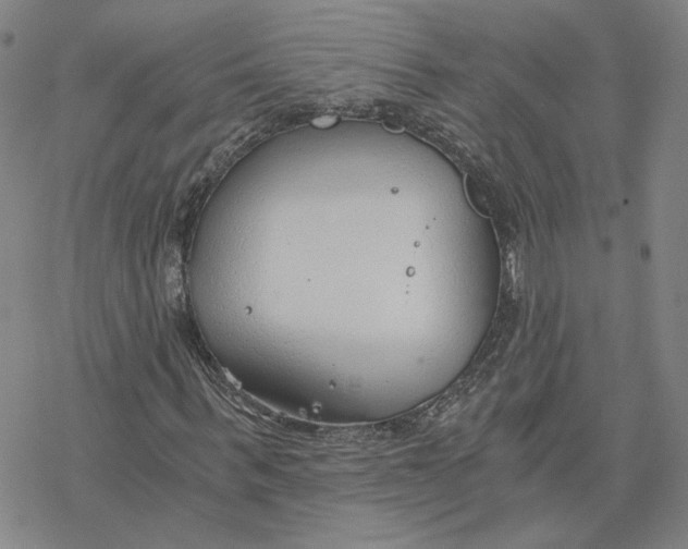 X0000076390963200610271549