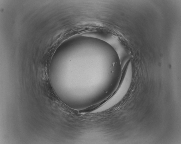 X0000076390965200610271549