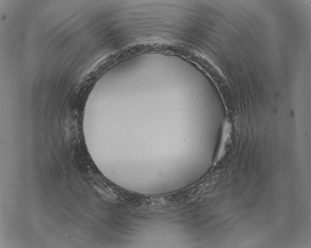 X0000076390968200610271549