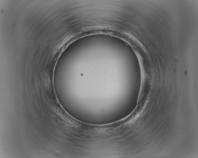 X0000076390969200610271549