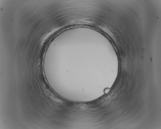 X0000076390971200610271549