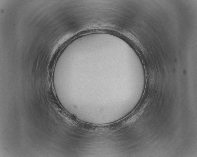 X0000076390974200610271549