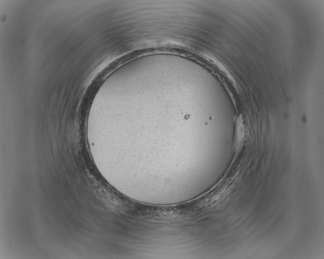 X0000076390975200610271549