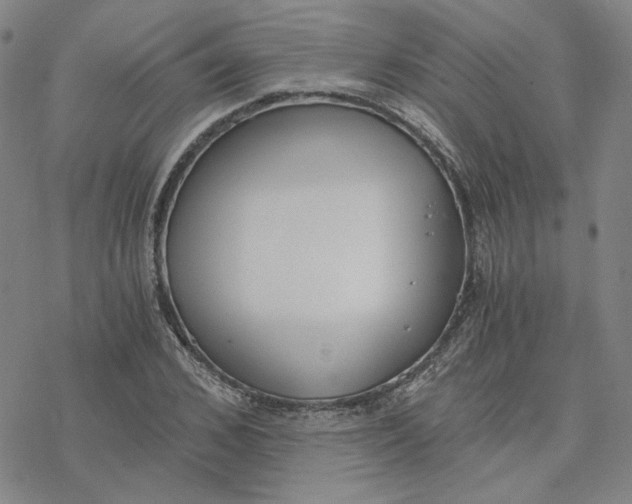 X0000076390976200610271549