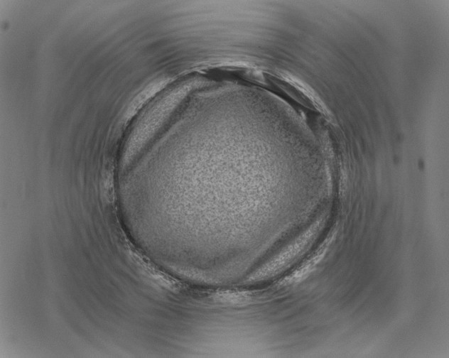 X0000076390977200610271549