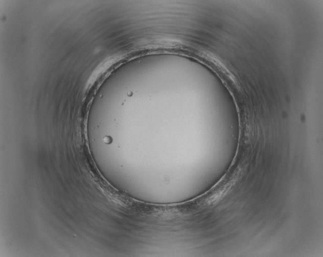 X0000076390978200610271549