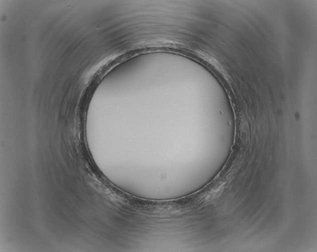 X0000076390979200610271549