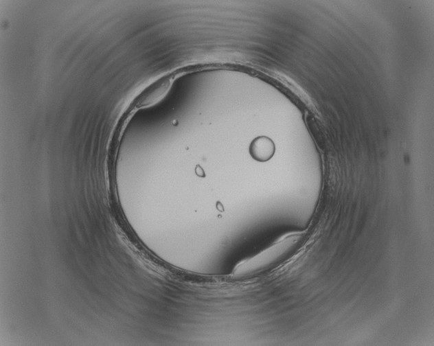 X0000076390980200610271548