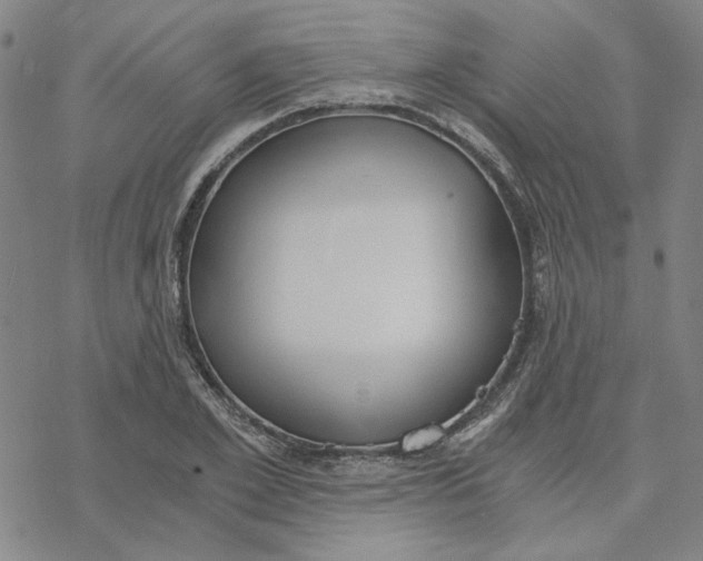 X0000076390981200610271548