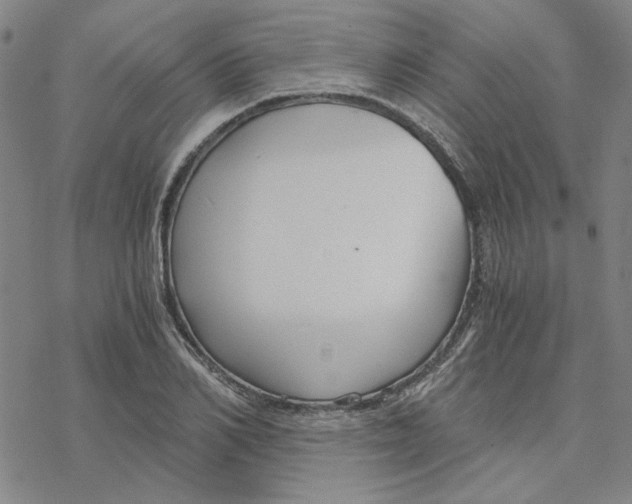 X0000076390982200610271548