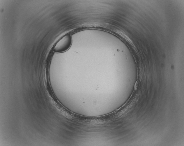 X0000076390984200610271548