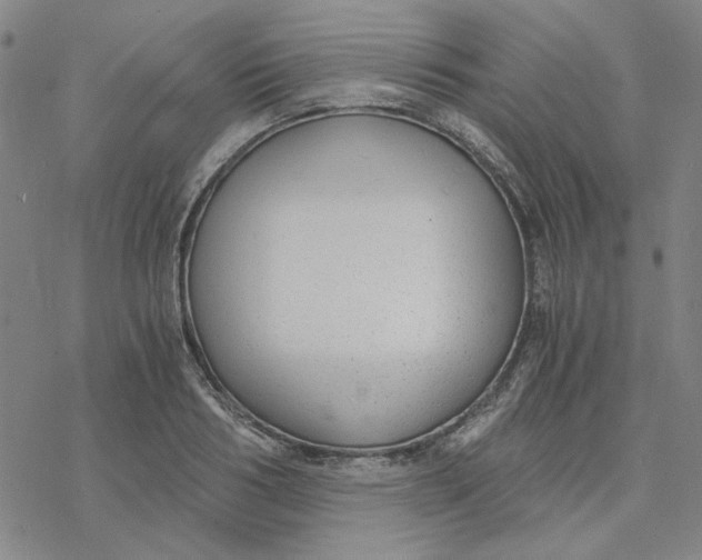 X0000076390986200610271548