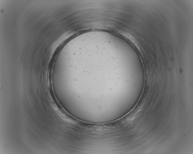 X0000076390987200610271548