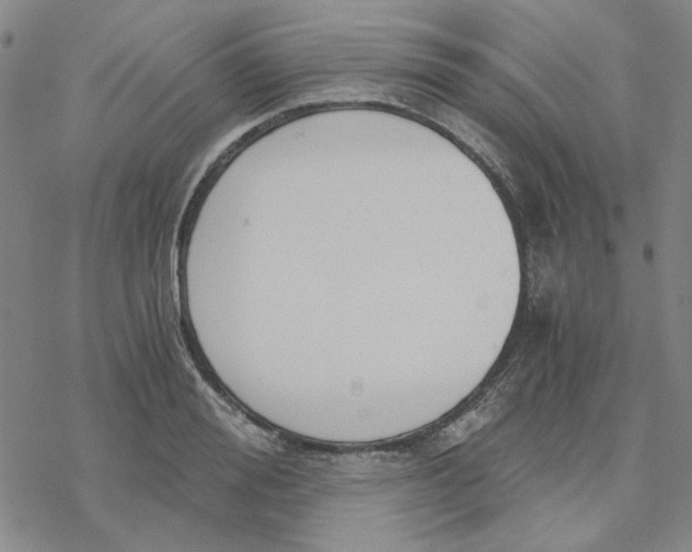 X0000076390988200610271548