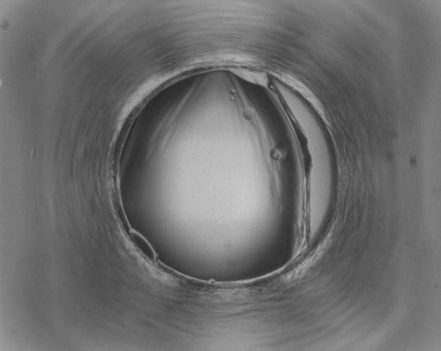 X0000076390989200610271548