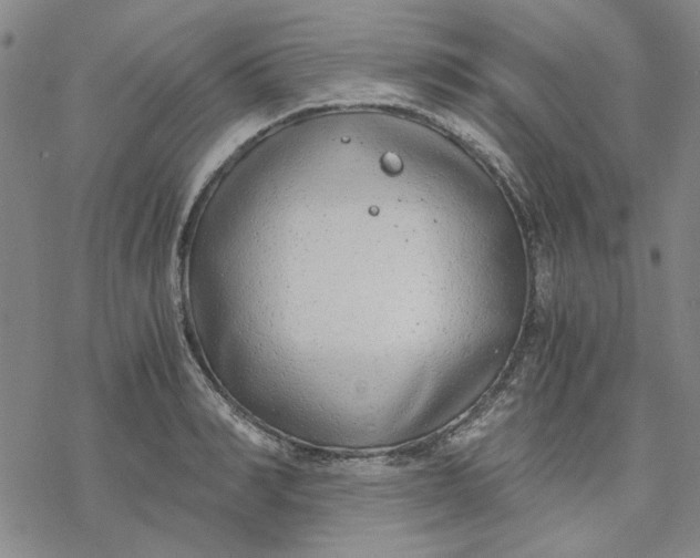 X0000076390990200610271548