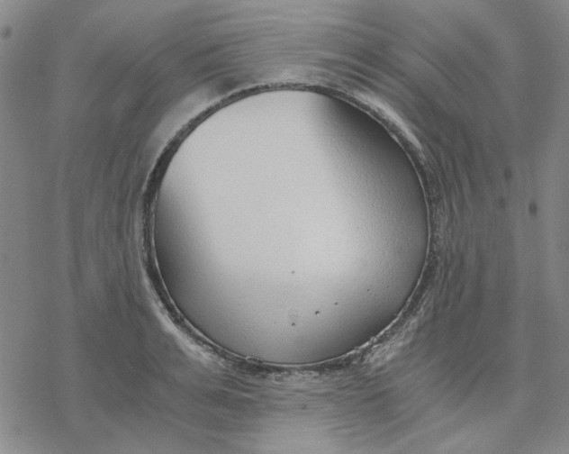 X0000076390991200610271548