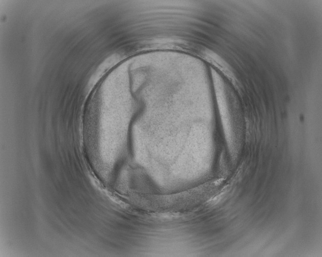 X0000076390994200610271548