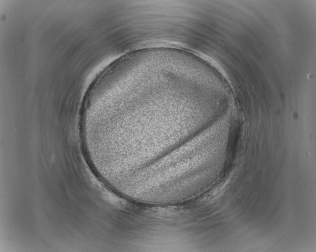 X0000076390995200610271548