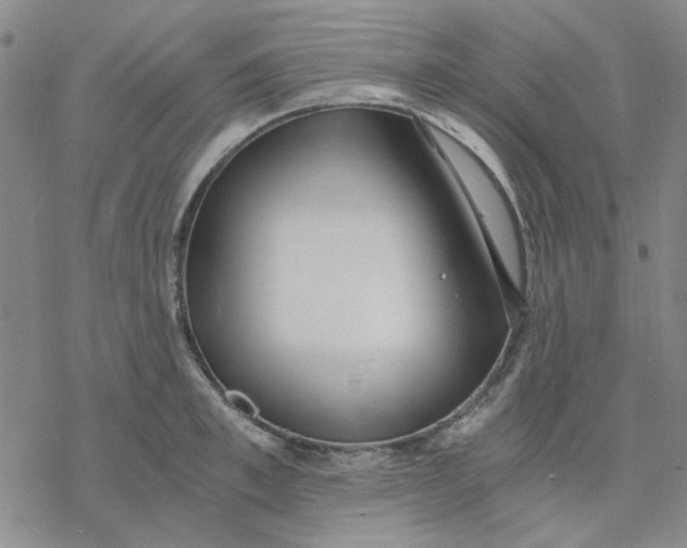 X0000076390997200610271548