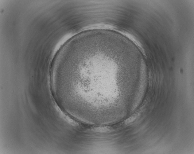 X0000076390998200610271548