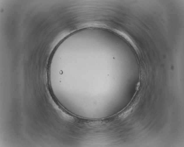 X0000076390999200610271548