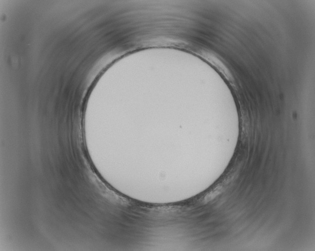 X0000076391000200610271548